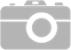 Tłumik drgań, pasek wieloklinowy - CONTINENTAL CTAM V85605